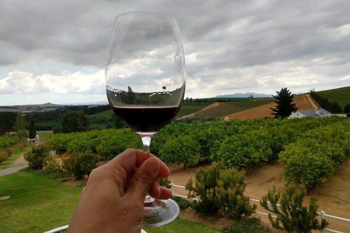 Cape Winelands Private Tour: Stellenbosch & Franschhoek Wine Tasting photo 3