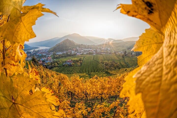 Wachau Wonders & Hallstatt: Small-Group Day Trip from Vienna