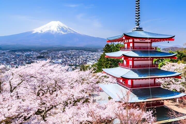 Private Mt. Fuji Day Trip from Tokyo: Chureito Pagoda, Kawaguchiko & Oshino Hakkai photo 2