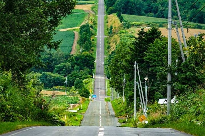 Hokkaido Flowers & Blue Pond Day Tour: Biei and Furano Flower Fields from Sapporo