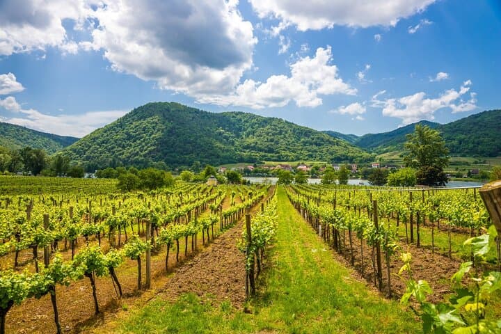 Wachau Wonders & Hallstatt: Small-Group Day Trip from Vienna photo 2