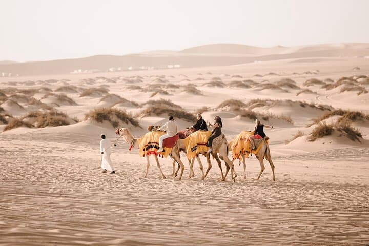 Half-Day Desert Safari from Doha: Dune Bashing, Camel Rides & Sunset at Khor Al Adaid