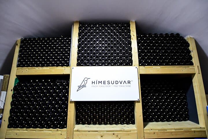 Tokaj Vineyard Tour: Hímesudvar Wine Tasting & Cellar Visit photo 4