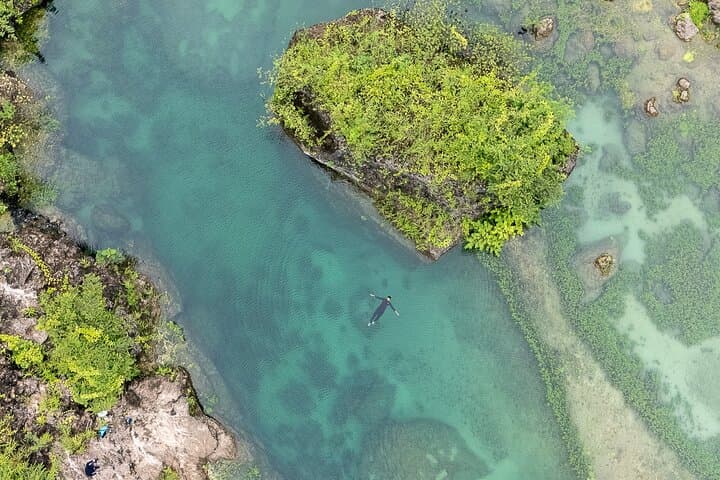 Exploring Wadi Darbat: Private 4-Hour Nature Drive and Easy Hike from Salalah photo 2