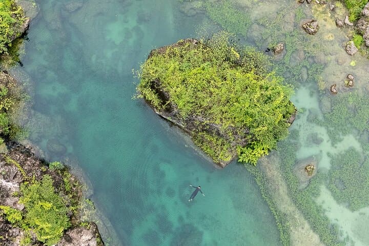 Exploring Wadi Darbat: Private 4-Hour Nature Drive and Easy Hike from Salalah photo 6