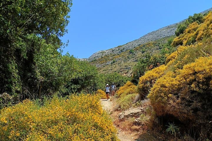 Naxos Waterfall Hike and Traditional Village Lunch photo 4