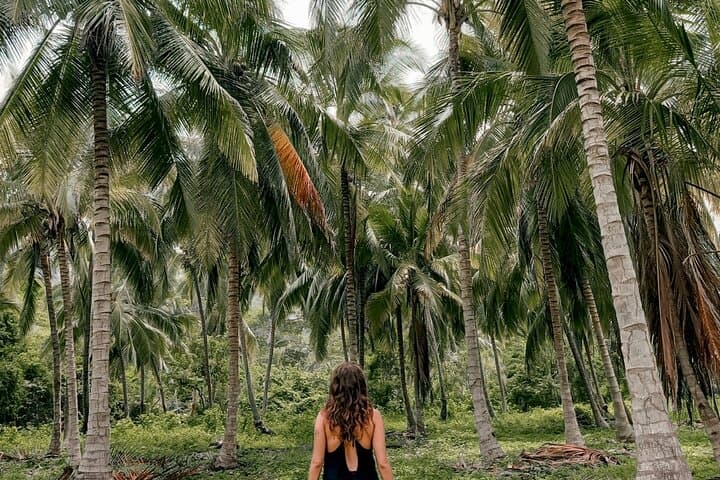 Tayrona Park Day Trip to Cabo San Juan — Shared Tour from Santa Marta photo 6