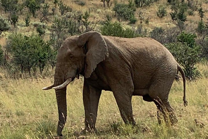 3-Day Panorama Route & Kruger National Park Safari: Blyde River Canyon to Big Five photo 2