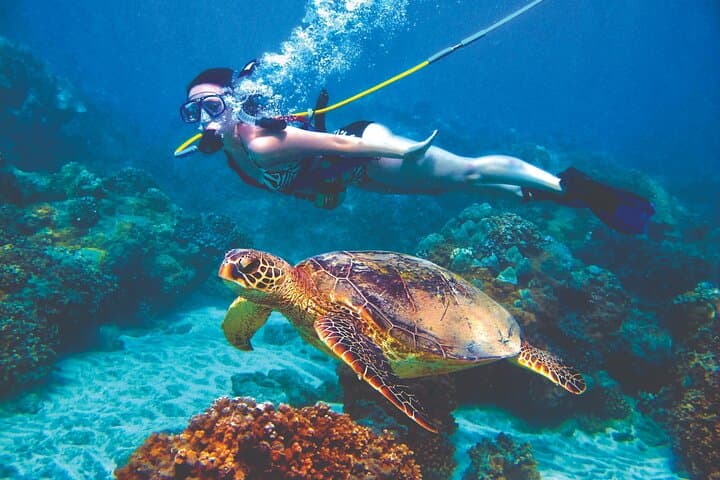 Sea TREK & SNUBA Combo at Marie Pampoen Beach — Walk and Dive Curaçao photo 2