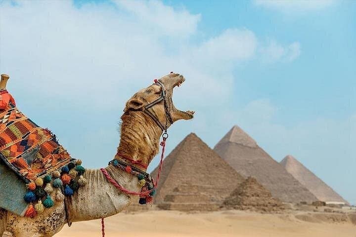 Full-Day Cairo: Giza Pyramids, Grand Egyptian Museum & Khan el-Khalili Bazaar photo 5