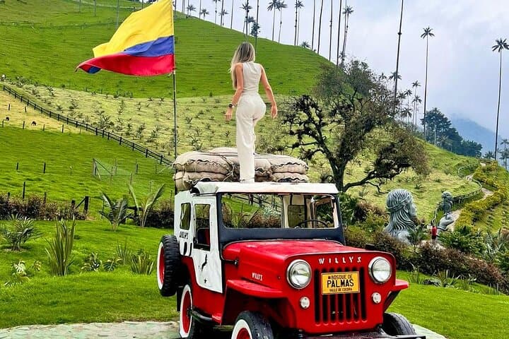 Salento & Cocora Valley Day Tour: Coffee Farm, Filandia Views, Wax Palm Hike