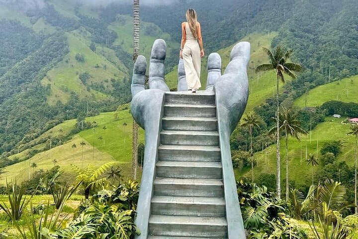 Salento & Cocora Valley Day Tour: Coffee Farm, Filandia Views, Wax Palm Hike photo 2