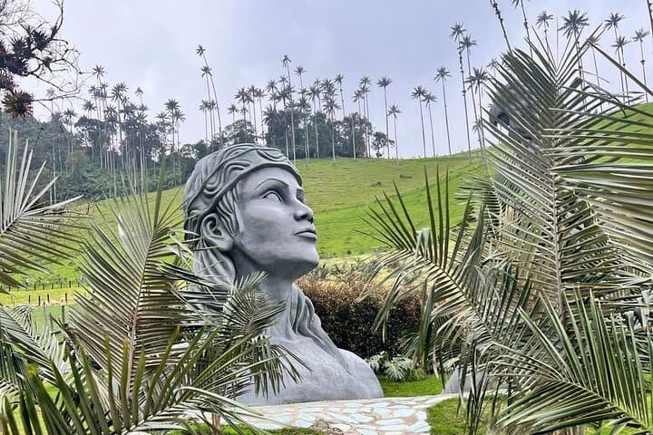 Salento & Cocora Valley Day Tour: Coffee Farm, Filandia Views, Wax Palm Hike photo 3