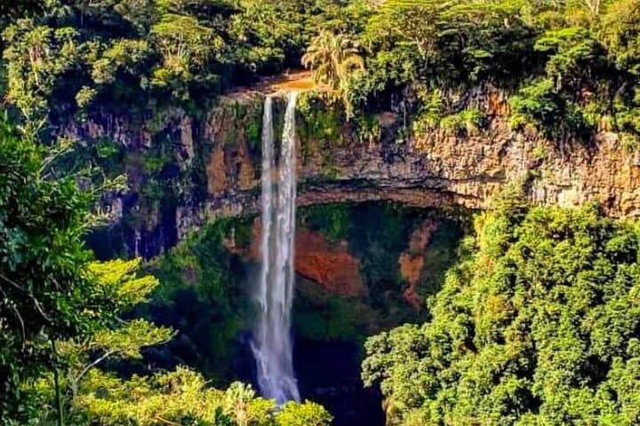 Swim With Wild Dolphins and South Mauritius Tour with Lunch — Chamarel, Grand Bassin & Waterfalls photo 5