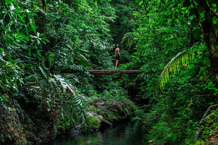 Full-Day Corcovado Hike from Drake Bay — 18–20 km Jungle Adventure photo 3