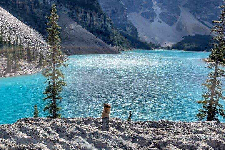 Full-Day Private Tour: Moraine Lake, Lake Louise, Emerald Lake & Johnston Canyon photo 5