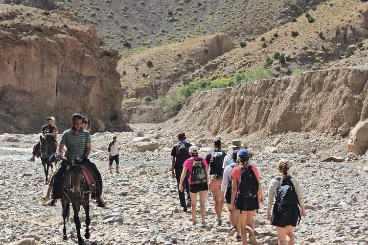 Mule Trek to M'Goun Valleys: Dades Gorge Cultural Day Trip