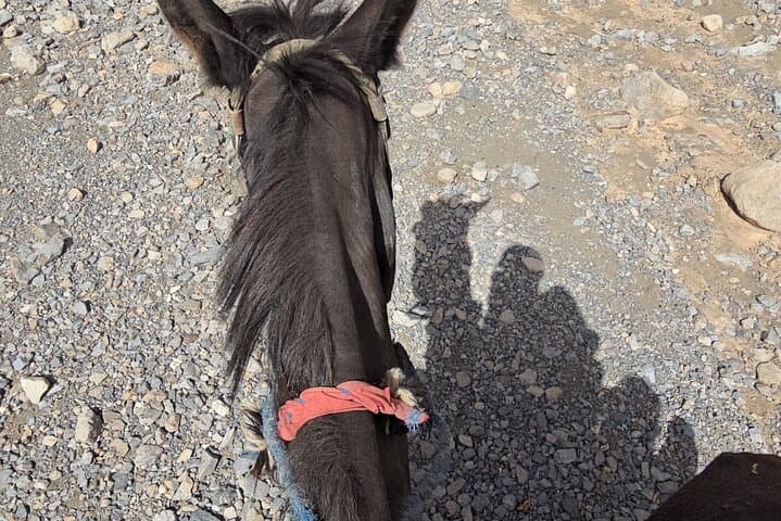 Mule Trek to M'Goun Valleys: Dades Gorge Cultural Day Trip photo 3