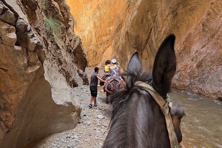 Mule Trek to M'Goun Valleys: Dades Gorge Cultural Day Trip photo 4