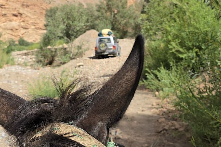 Mule Trek to M'Goun Valleys: Dades Gorge Cultural Day Trip photo 6
