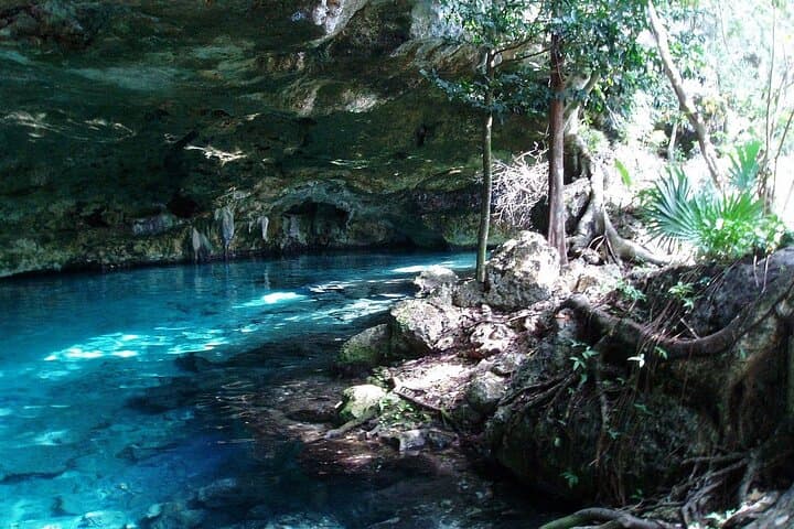 Tulum Wild Adventure: ATV, Zipline & Cenote Swim in the Riviera Maya photo 4