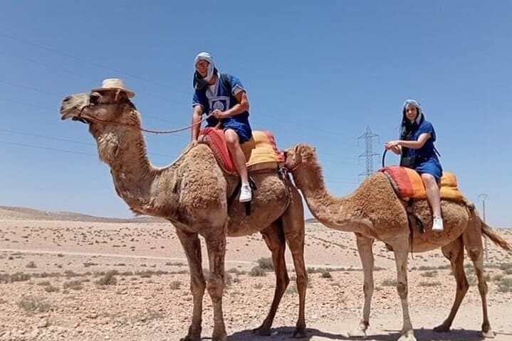 Agafay Desert Quad Bike and Camel Sunset with Dinner Show from Marrakech photo 3