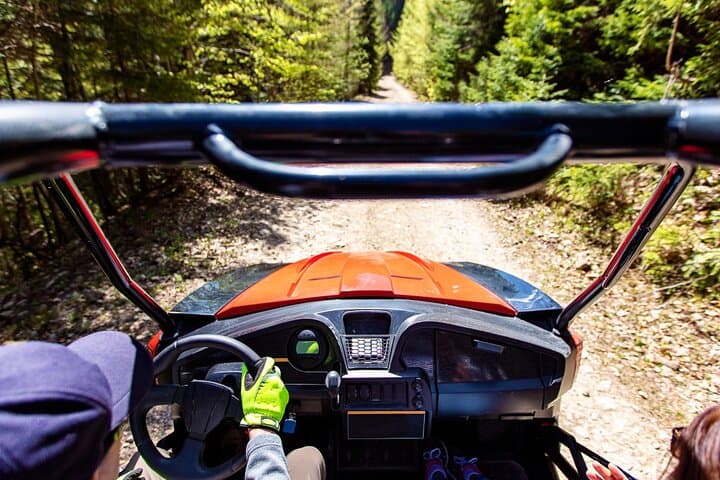Island Park Can-Am Commander XT-P Full-Day UTV Rental: Self-Guided Off-Road Adventure photo 4