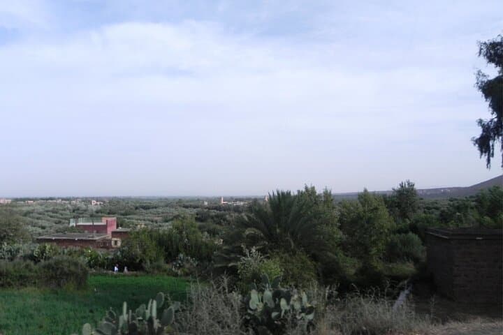 Ourika Valley Day Trip from Marrakech: Setti Fatma Waterfalls & Argan Cooperative photo 4