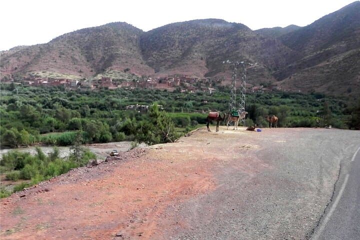 Ourika Valley Day Trip from Marrakech: Setti Fatma Waterfalls & Argan Cooperative photo 6