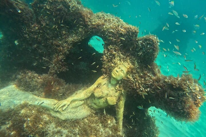 Explore Hollywood Beach’s New Artificial Reefs: Snorkeling, Kayaking & Paddleboarding Adventure photo 2