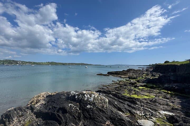 Cork to Mizen Head: Private Day Tour to Ireland’s Southern Edge photo 5