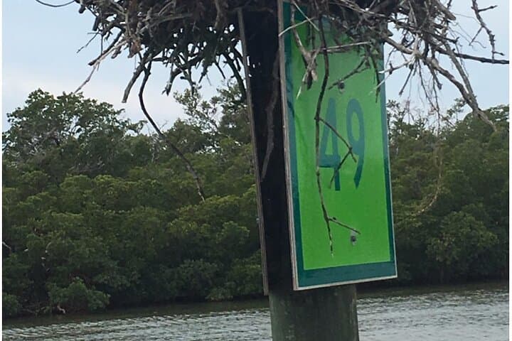 Keewaydin Island 4-Hour Beach Tour from Naples — Shelling, Swimming & Wildlife photo 2