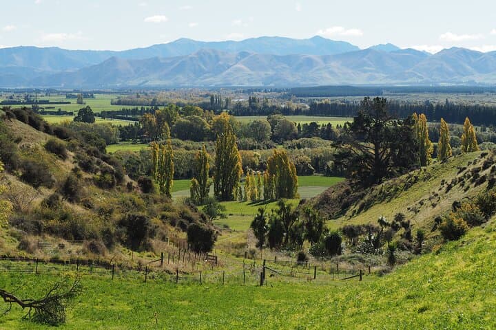 Merino Farm Experience: Hands-On Woolshed Tour & Hilltop Views in Canterbury photo 2