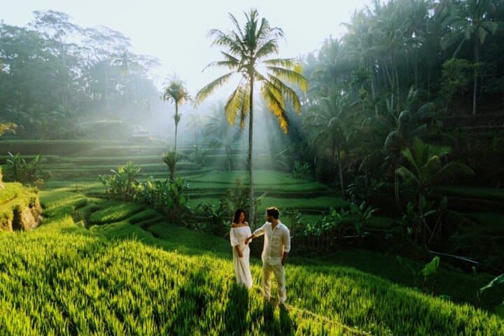 Private Ubud Day Tour: Rice Terraces, Tirta Empul & Waterfall