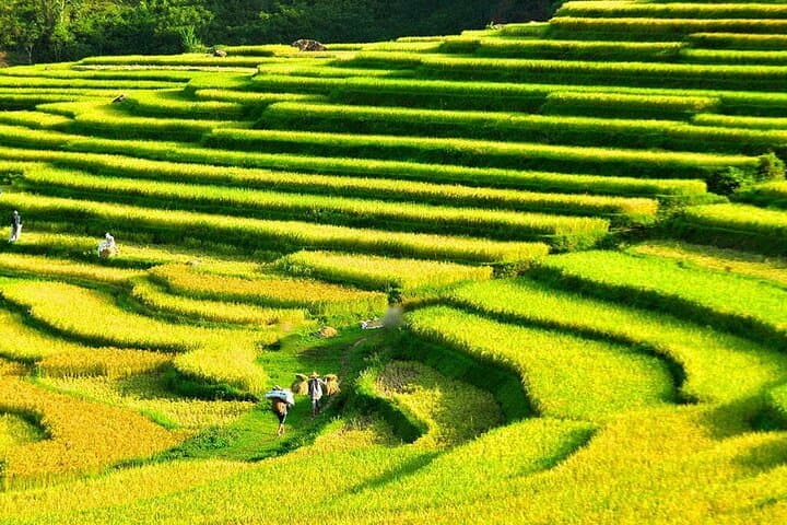 Pu Luong Full-Day Trek: Terraces, Thai Weaving & Hieu Waterfall Lunch photo 5