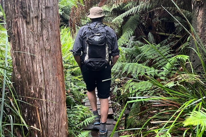 Private 3-Day Tasmania Escape: Bruny Island, Mt Field & Port Arthur photo 6
