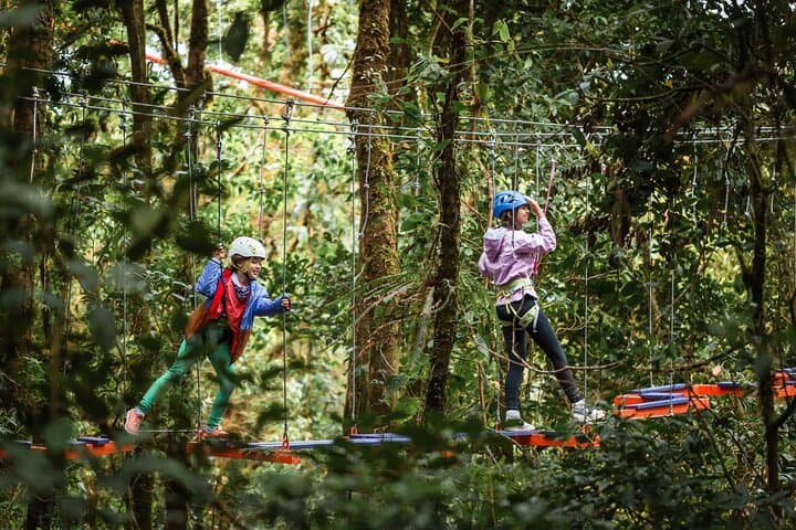Monteverde 4-in-1 Canopy Adventure: Sky Trek, Sky Walk & Arboreal Challenge