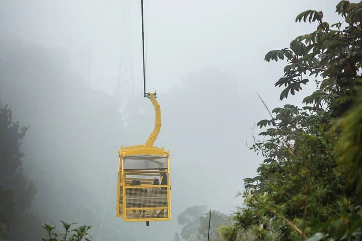 Monteverde 4-in-1 Canopy Adventure: Sky Trek, Sky Walk & Arboreal Challenge photo 2