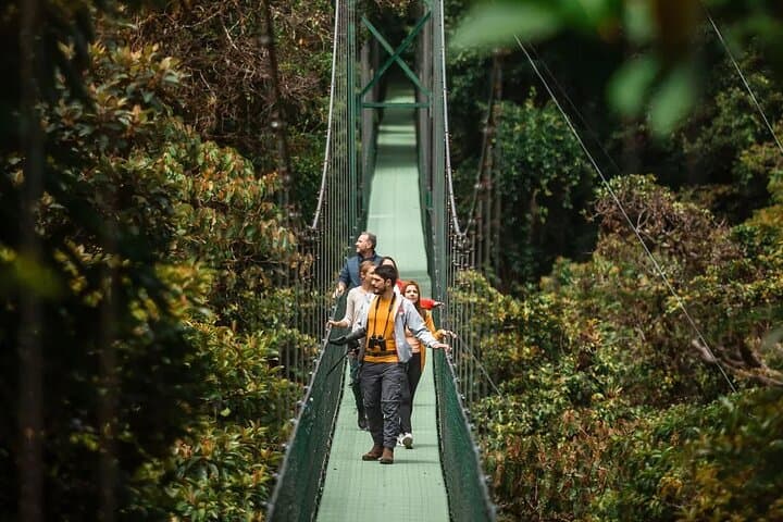 Monteverde 4-in-1 Canopy Adventure: Sky Trek, Sky Walk & Arboreal Challenge photo 3
