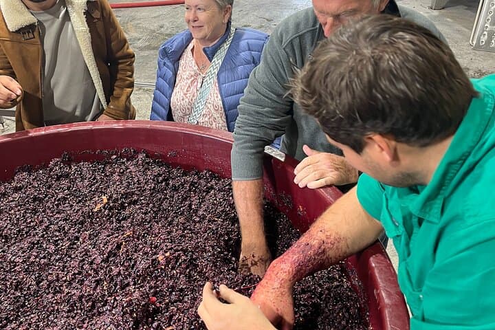 Private Wine Tasting in Tasmania’s Coal River Valley — Boutique Cellar Door Tour photo 2