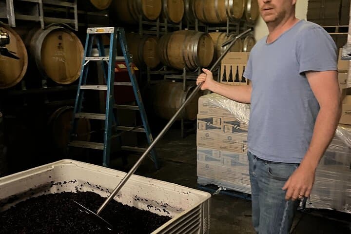 Private Wine Tasting in Tasmania’s Coal River Valley — Boutique Cellar Door Tour photo 6