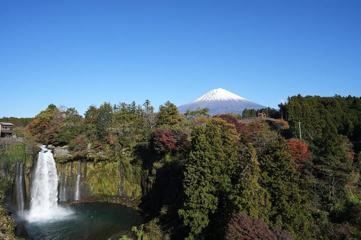 Private Mt. Fuji Day Trip from Tokyo: Chureito Pagoda, Kawaguchiko & Oshino Hakkai photo 6