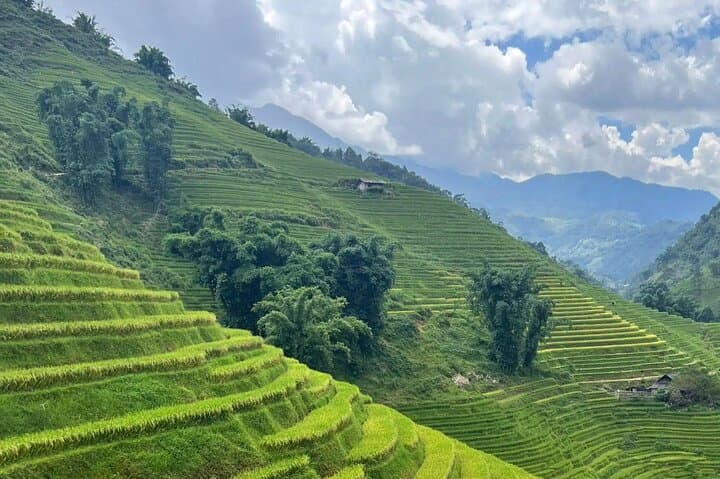 Sapa 2-Day Guided Trek: Ta Van Homestay, Muong Hoa Valley & Hill‑Tribe Treks photo 6