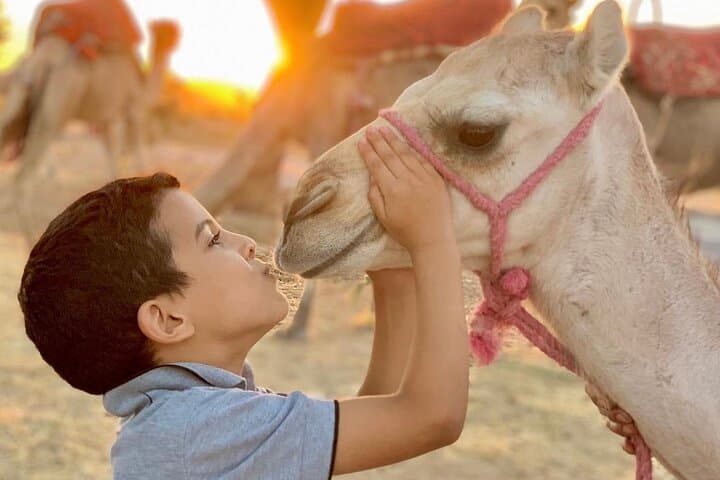 Agafay Desert Camel Ride & Moroccan Breakfast with Argan Cooperative Visit