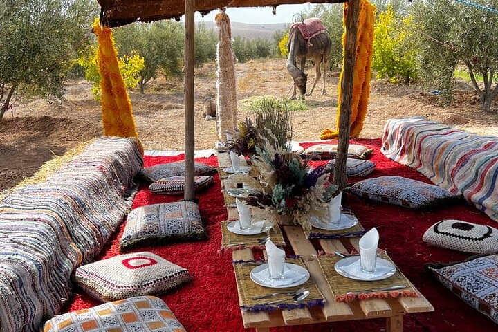 Agafay Desert Camel Ride & Moroccan Breakfast with Argan Cooperative Visit photo 2