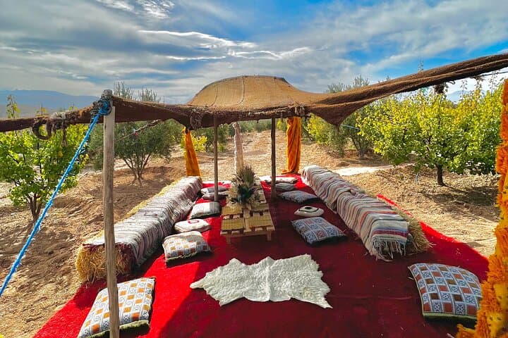 Agafay Desert Camel Ride & Moroccan Breakfast with Argan Cooperative Visit photo 3