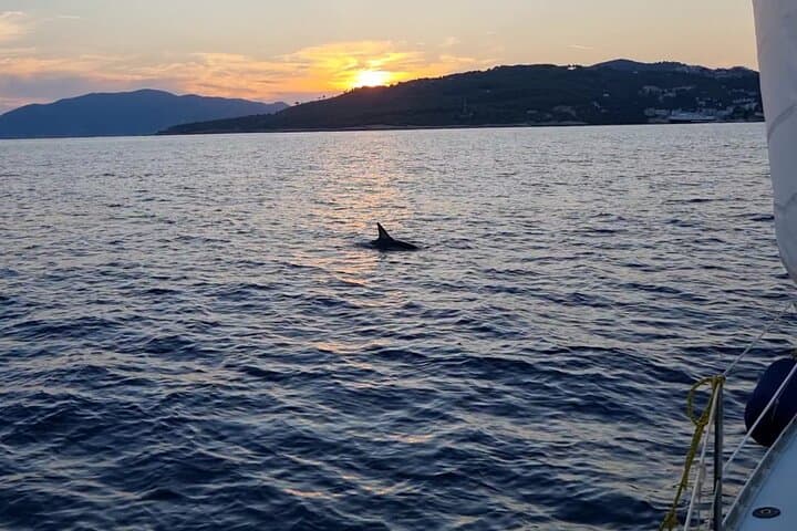Full-Day Skiathos Sailing Cruise with BBQ, Snorkeling & Lalaria Visit photo 2