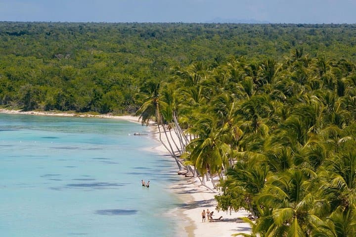 Full-Day Saona Island Catamaran: Snorkel, Natural Pool & Dominican BBQ photo 3