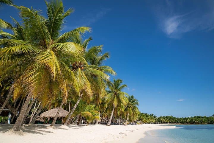 Full-Day Saona Island Catamaran: Snorkel, Natural Pool & Dominican BBQ photo 2
