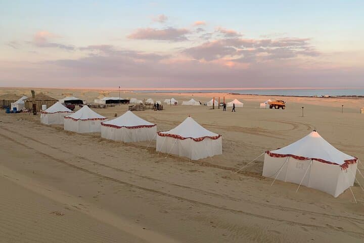 Fayoum Day Tour: Qarun Lake & Wadi El Rayan Day Trip from Cairo